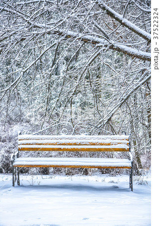 Park bench and trees covered by heavy snow 37522324