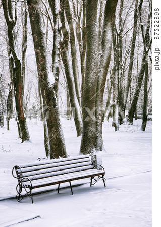 Park bench and trees covered by heavy snow Park bench and trees covered by heavy snow 37522398