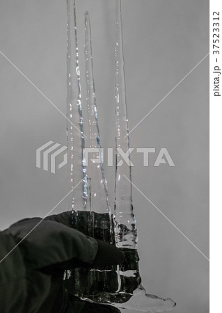 Three big icicles in a gloved hand 37523312
