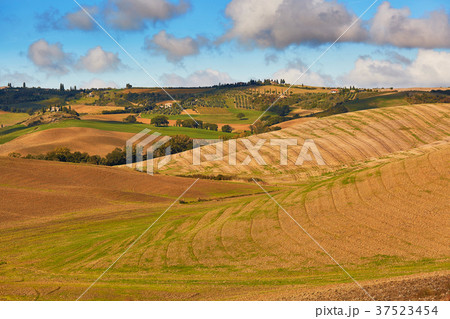 Landscape of San Quirico d'Orcia, Tuscany, Italy 37523454