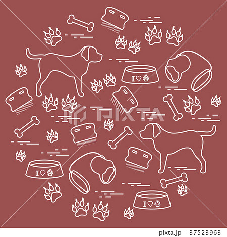 Cute vector illustration goods to care for dogs 37523963