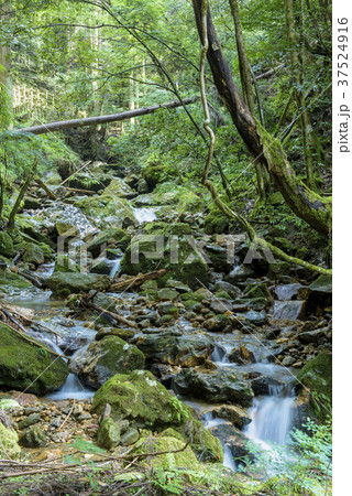 渓流の風景 鹿ヶ壺 兵庫県姫路市安富町 の写真素材
