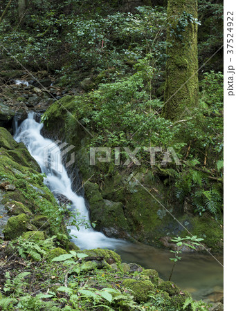 鹿ヶ壺 渓流の風景 兵庫県姫路市安富町 の写真素材