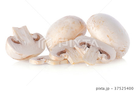 Champignon Isolated on Wooden Background Champignon Isolated on Wooden Background 37525400