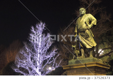 夜の上野公園西郷隆盛像の写真素材