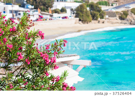 Beautiful landscape with sea view on Mykonos Beautiful landscape with sea view on Mykonos 37526404