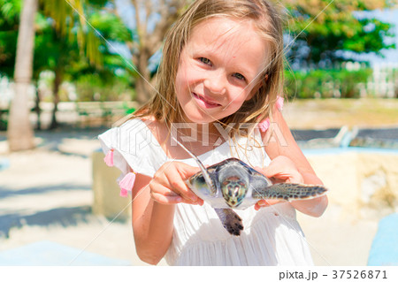 Adorable little girl with a small turtle in her Adorable little girl with a small turtle in her 37526871