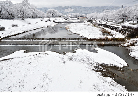 京都　鴨川の雪景色 37527147