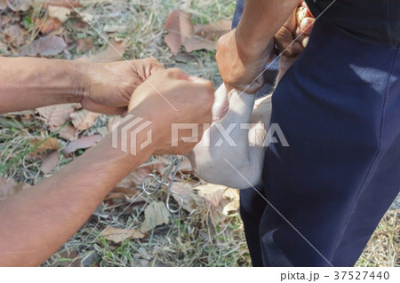 Veterinary intestinal diseases to piglets. Veterinary intestinal diseases to piglets. 37527440