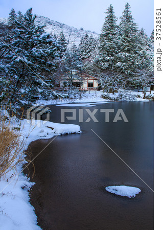 雲仙 白雲の池の雪景色 【長崎県雲仙市】 雲仙 白雲の池の雪景色 【長崎県雲仙市】 37528561