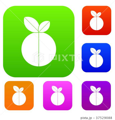 Round apple set color collection 37529088