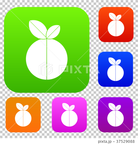 Round apple set color collection 37529088
