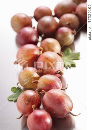 Red gooseberries 37529109