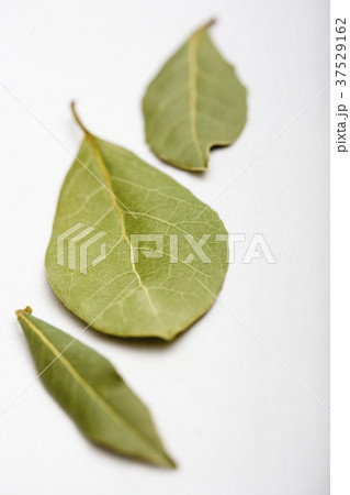 Three dried bay leaves Three dried bay leaves 37529162