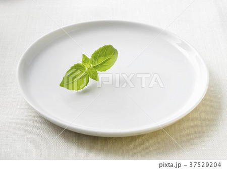 Basil leaves on a plate 37529204