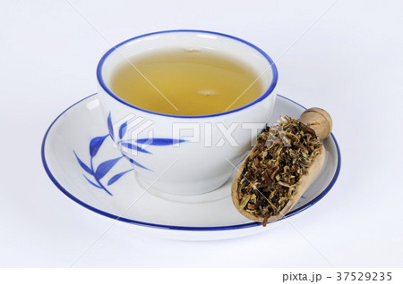 Dabdelion tea (Taraxaci Herba) 37529235