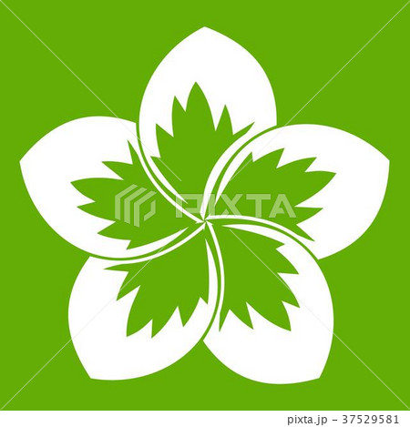 Frangipani flower icon green Frangipani flower icon green 37529581