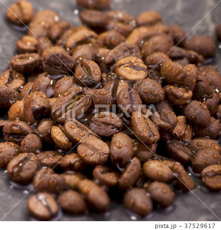 Coffee beans with drops of water Coffee beans with drops of water 37529617