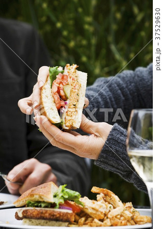 Sandwich with chips 37529630