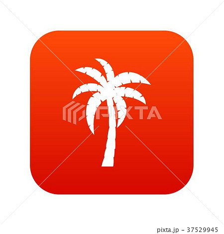 Palm icon digital red 37529945