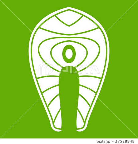 Salmon steak icon green Salmon steak icon green 37529949
