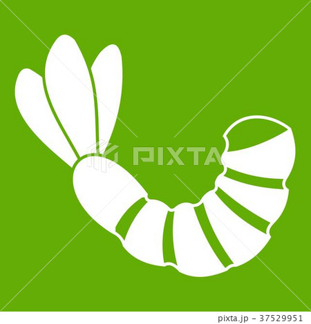 Shrimp icon green Shrimp icon green 37529951