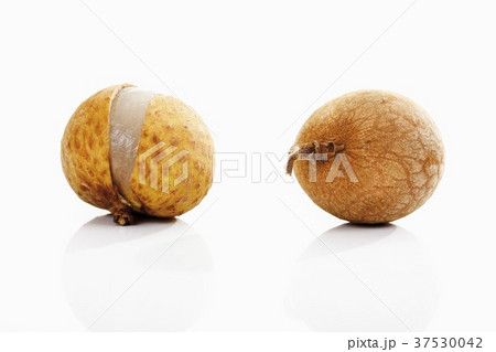 Two longans, one with the peel cut open 37530042