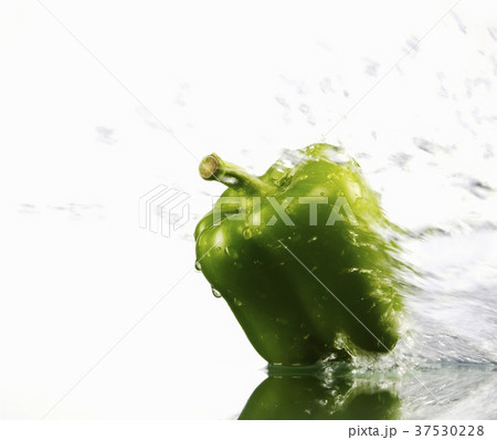 Green pepper with splashing water Green pepper with splashing water 37530228