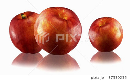 Three nectarines with reflection Three nectarines with reflection 37530236