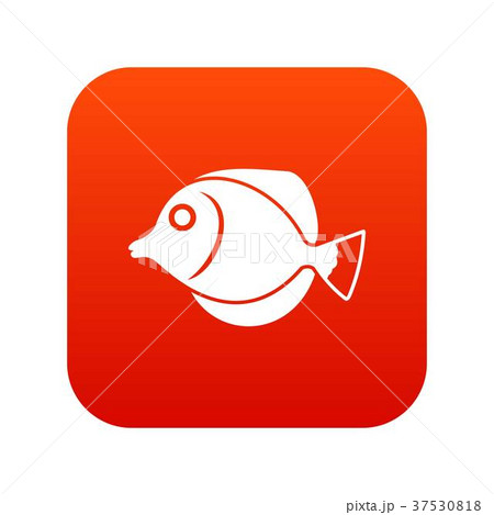 Tang fish, Zebrasoma flavescens icon digital red Tang fish, Zebrasoma flavescens icon digital red 37530818