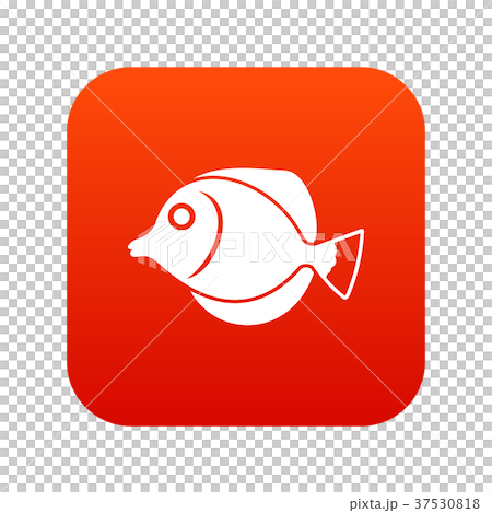 Tang fish, Zebrasoma flavescens icon digital red Tang fish, Zebrasoma flavescens icon digital red 37530818