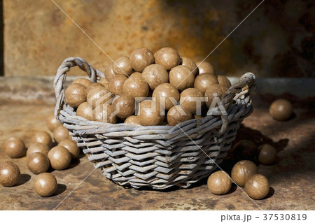 Unshelled macadamia nuts in and beside a wicker basket 37530819
