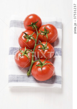 Tomatoes on the vine Tomatoes on the vine 37531237