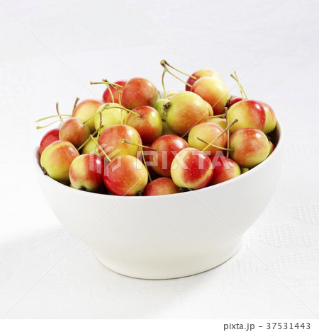 Japanese crab apples (Malus floribunda) in a bowl 37531443