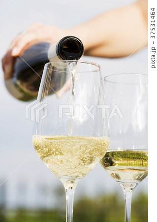 Pouring white wine into a glass Pouring white wine into a glass 37531464