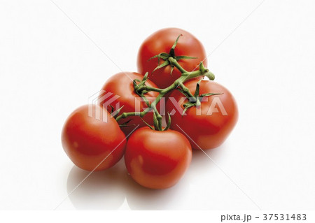 Tomatoes on the vine 37531483