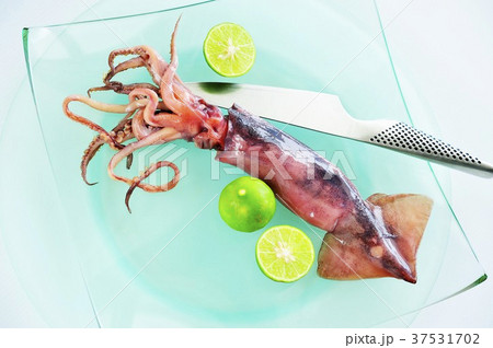 Red squid with lime slices Red squid with lime slices 37531702