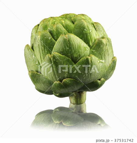 Artichoke with drops of water and reflection Artichoke with drops of water and reflection 37531742