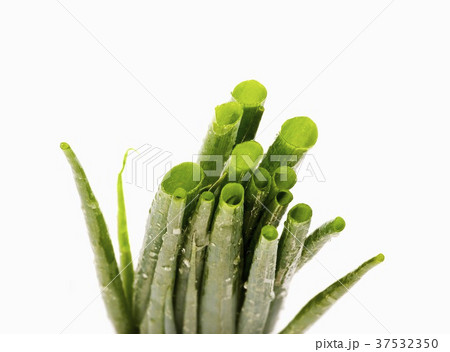 Spring onions with drops of water (detail) 37532350