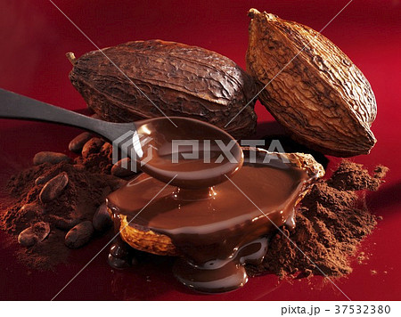 Chocolate sauce, cocoa powder, cocoa beans and cacao fruits Chocolate sauce, cocoa powder, cocoa beans and cacao fruits 37532380