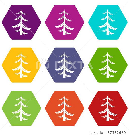 Pine icon set color hexahedron 37532620