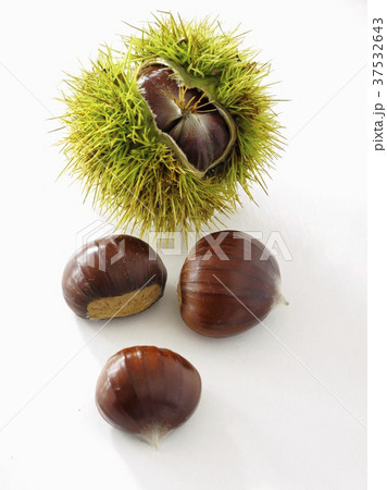 Sweet chestnuts, with and without prickly case Sweet chestnuts, with and without prickly case 37532643