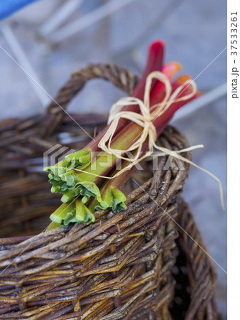A bundle of rhubarb on a basket A bundle of rhubarb on a basket 37533261