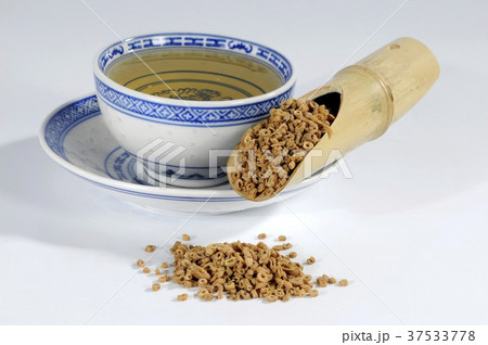 Polygala tenuifolia root (tea and dried root) 37533778