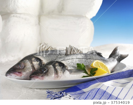 Two sea bass on a platter Two sea bass on a platter 37534019