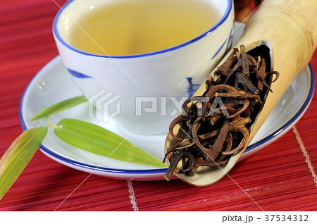 Uncaria twigs and thorns with a cup of tea 37534312