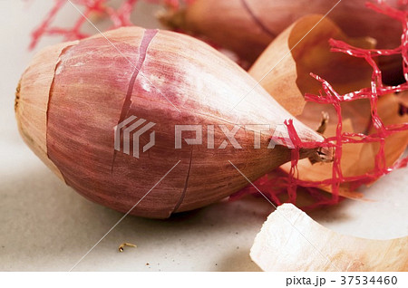 Shallot in front of net bag (cut open) 37534460
