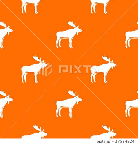 Deer pattern seamless Deer pattern seamless 37534824