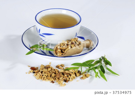 Tea made with dried pagoda tree fruit (Chuan Lian Zi, China) Tea made with dried pagoda tree fruit (Chuan Lian Zi, China) 37534975