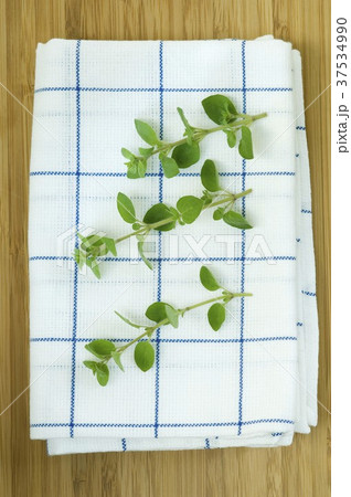 Oregano sprigs on a tea towel 37534990